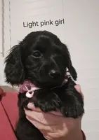 processed/201592a2-4f92-42a3-acee-292204c28536/listing/5e22698b-6fee-4c22-ba40-5af6307dc8d2/acbdcab1-857a-4012-a21a-ef0fa0786c07