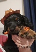 processed/201592a2-4f92-42a3-acee-292204c28536/listing/8b416a75-56a4-4ddb-b648-42b360275749/1d931711-97a7-4cfd-b771-93ff9939c006