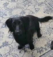 processed/201592a2-4f92-42a3-acee-292204c28536/listing/8b416a75-56a4-4ddb-b648-42b360275749/5574eadc-cfc5-419b-9274-c09c9dced44d