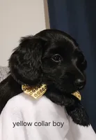 processed/201592a2-4f92-42a3-acee-292204c28536/listing/a91d596c-c75a-4ec6-85c8-1aacf65d00d5/0cbe285d-c1e9-42fb-871d-f35fbdd2ed68