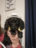 processed/201592a2-4f92-42a3-acee-292204c28536/listing/a91d596c-c75a-4ec6-85c8-1aacf65d00d5/66a0136d-c78b-4696-aadb-0a77109ce8af