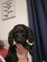 processed/201592a2-4f92-42a3-acee-292204c28536/listing/a91d596c-c75a-4ec6-85c8-1aacf65d00d5/cb166873-0ecd-4505-8873-ff0a6df543aa