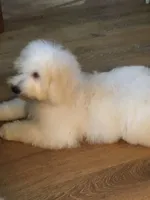 processed/20167009-fc14-467a-aec1-81d796aa4793/facility/1a968b13-ddb2-40df-96eb-1de1de3f956f