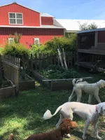 processed/20167009-fc14-467a-aec1-81d796aa4793/facility/45255292-57f2-450f-9b35-65d664d7b35b