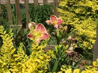 processed/20167009-fc14-467a-aec1-81d796aa4793/facility/5ad581de-03de-494b-b855-6e927ffe81b4