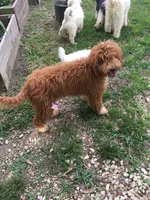 processed/20167009-fc14-467a-aec1-81d796aa4793/facility/5f302b83-5d27-41a8-8c8e-1fb9a44c819a