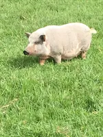 processed/20167009-fc14-467a-aec1-81d796aa4793/facility/807310b7-936a-472e-9ee1-495aa842f068