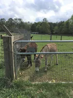 processed/20167009-fc14-467a-aec1-81d796aa4793/facility/c9b414e8-d6be-406b-8687-f79bb4a85c6c