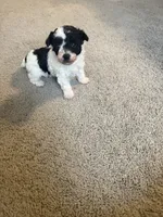 processed/201992ea-01af-4d5c-bfc4-422da0113a28/listing/9dafbe92-a034-4b37-95d1-038ba56bd636/1212300e-bbff-4ff1-900f-746b6e4090b8