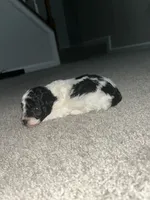 processed/201992ea-01af-4d5c-bfc4-422da0113a28/listing/9dafbe92-a034-4b37-95d1-038ba56bd636/162e5965-e216-4b68-adc0-9d3003350b60