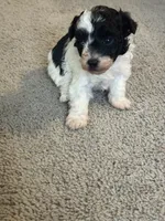 processed/201992ea-01af-4d5c-bfc4-422da0113a28/listing/9dafbe92-a034-4b37-95d1-038ba56bd636/2f5a064c-366f-49cc-85e4-5e2545396614