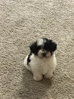 processed/201992ea-01af-4d5c-bfc4-422da0113a28/listing/9dafbe92-a034-4b37-95d1-038ba56bd636/32a7967a-4009-4d2e-8886-a281f63caef1