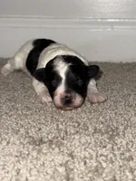 processed/201992ea-01af-4d5c-bfc4-422da0113a28/listing/9dafbe92-a034-4b37-95d1-038ba56bd636/4477c87c-fe5b-49f6-a31c-e28d2d3290a4