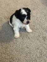 processed/201992ea-01af-4d5c-bfc4-422da0113a28/listing/9dafbe92-a034-4b37-95d1-038ba56bd636/4c9095b0-1ec0-4214-92cb-6da1c8d996a6