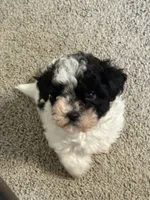 processed/201992ea-01af-4d5c-bfc4-422da0113a28/listing/9dafbe92-a034-4b37-95d1-038ba56bd636/6cc0c59d-ffda-4d0b-8df0-2c1d9763aa13