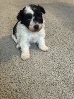 processed/201992ea-01af-4d5c-bfc4-422da0113a28/listing/9dafbe92-a034-4b37-95d1-038ba56bd636/c07c3af4-6b78-49fa-8281-9d6bb2ca5ff2