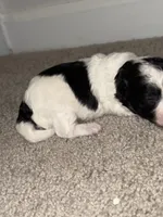 processed/201992ea-01af-4d5c-bfc4-422da0113a28/listing/9dafbe92-a034-4b37-95d1-038ba56bd636/e87acd46-8b94-42a5-946e-780fcea0aae2