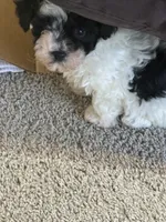 processed/201992ea-01af-4d5c-bfc4-422da0113a28/listing/9dafbe92-a034-4b37-95d1-038ba56bd636/f6d8f654-a370-4040-b616-00bec0f8f96c