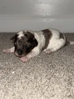 processed/201992ea-01af-4d5c-bfc4-422da0113a28/listing/ef7d4512-3aab-4407-892f-049d35f7474b/06215e56-4cd8-49af-b075-4890b0ae6bc4