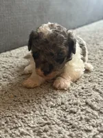 processed/201992ea-01af-4d5c-bfc4-422da0113a28/listing/ef7d4512-3aab-4407-892f-049d35f7474b/0c41fdff-63b4-4d73-8a8a-29d65bce2469