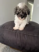 processed/201992ea-01af-4d5c-bfc4-422da0113a28/listing/ef7d4512-3aab-4407-892f-049d35f7474b/3cbc763f-fc12-4113-b967-abae0501edbc