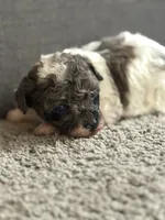 processed/201992ea-01af-4d5c-bfc4-422da0113a28/listing/ef7d4512-3aab-4407-892f-049d35f7474b/8381ce96-8d47-49e5-ab2d-422ede26b10c