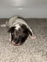 processed/201992ea-01af-4d5c-bfc4-422da0113a28/listing/ef7d4512-3aab-4407-892f-049d35f7474b/8a4b5161-4730-4169-97ee-e4ac54290ae3