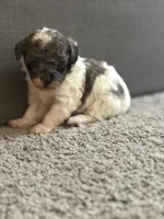 processed/201992ea-01af-4d5c-bfc4-422da0113a28/listing/ef7d4512-3aab-4407-892f-049d35f7474b/a6aac13b-f3bd-4c66-9e06-d96c255fc5f1