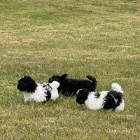 processed/202680d9-acb6-425b-a3e0-41715dc91d90/facility/2db2ef4a-ba5b-4241-bff3-901eb1847003