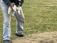 processed/202680d9-acb6-425b-a3e0-41715dc91d90/facility/946cde75-f0da-43d7-a9b5-0bdcd500376e