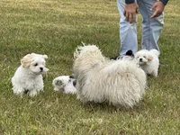 processed/202680d9-acb6-425b-a3e0-41715dc91d90/facility/b2083806-93e9-41e7-be85-98fbc5098a3a