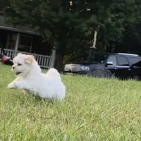 processed/202680d9-acb6-425b-a3e0-41715dc91d90/facility/dad26e0a-debd-4077-97d6-a5970dd8bf51