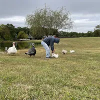 processed/202680d9-acb6-425b-a3e0-41715dc91d90/facility/e58e0006-a2e9-4b36-8c10-1b48d98c83cb