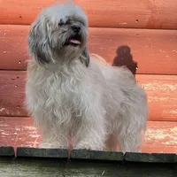 processed/202680d9-acb6-425b-a3e0-41715dc91d90/listing/04967ac9-7810-4808-b668-6754180b03e3/3c7e1ed7-bb66-4c81-bb0a-68c7f0b7d11c