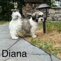 processed/202680d9-acb6-425b-a3e0-41715dc91d90/listing/f826662d-eddf-46d3-8e21-a09c0173eb8f/2a2b3f4b-7afa-4db8-a7d1-1fdba898bd46