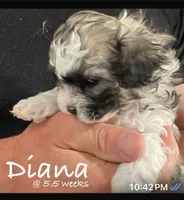 processed/202680d9-acb6-425b-a3e0-41715dc91d90/listing/f826662d-eddf-46d3-8e21-a09c0173eb8f/2a8c6bc3-a5aa-4ab0-b6bb-40108c448fe6