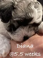 processed/202680d9-acb6-425b-a3e0-41715dc91d90/listing/f826662d-eddf-46d3-8e21-a09c0173eb8f/f0ab3e71-aa6e-46e6-93e9-a933addd0cc4