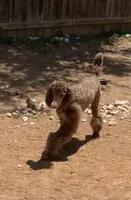 processed/202b6e37-d79a-4ae1-bbbf-bc8c81f2b2f6/facility/079fd57a-742b-490f-bb42-db1ef626412b