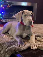 processed/202b6e37-d79a-4ae1-bbbf-bc8c81f2b2f6/facility/43d2bab6-0be4-45c0-a877-267f45ecef6c