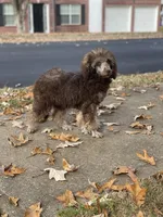 processed/202b6e37-d79a-4ae1-bbbf-bc8c81f2b2f6/facility/45c1889a-cdce-4441-8fb0-14f26c5b7658