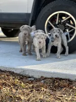 processed/202b6e37-d79a-4ae1-bbbf-bc8c81f2b2f6/facility/56dd5c6c-b7f2-49be-83d4-d9bdb30621f9