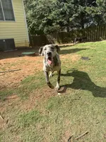 processed/202b6e37-d79a-4ae1-bbbf-bc8c81f2b2f6/facility/7771036b-d8f2-477d-ba6a-d1ee4df34486