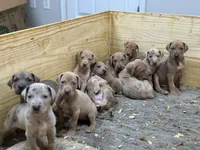 processed/202b6e37-d79a-4ae1-bbbf-bc8c81f2b2f6/facility/7df21d42-d0d5-4cdf-ada3-b6ee93d6d808