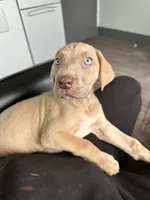 processed/202b6e37-d79a-4ae1-bbbf-bc8c81f2b2f6/facility/81ad2f08-addb-4b1b-9c5a-266f7289554e