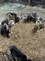 processed/202b6e37-d79a-4ae1-bbbf-bc8c81f2b2f6/facility/86954e7a-b640-493b-a0ea-c8ea059e7c19