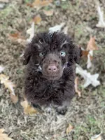 processed/202b6e37-d79a-4ae1-bbbf-bc8c81f2b2f6/facility/efc235e2-9255-4e45-afd5-4d1a2846d542