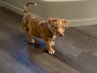 processed/2032c406-40a0-4258-8cd7-d25503ffebce/listing/cce65be2-c430-4b97-b396-fee4adafa42b/cfff375e-b8ed-419d-bf93-0c51c038e923