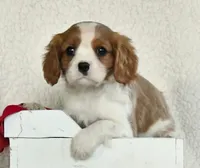 processed/20355bcd-4bc8-4770-b760-07f107a97d84/listing/3d2c289b-8466-4684-8117-5ce0a587362d/5dfb51d2-adb3-4eab-8527-9c951f114d0e