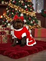 Snookie, a female Brussels Griffon for sale in Broadway, VA – 6 of 6