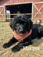 processed/203e4d42-1f6b-4db6-85cc-b91ac9b0742f/listing/15040a86-095f-4adf-a180-943e2ed1084f/358a5176-bbe9-447f-8fdd-d10705741763